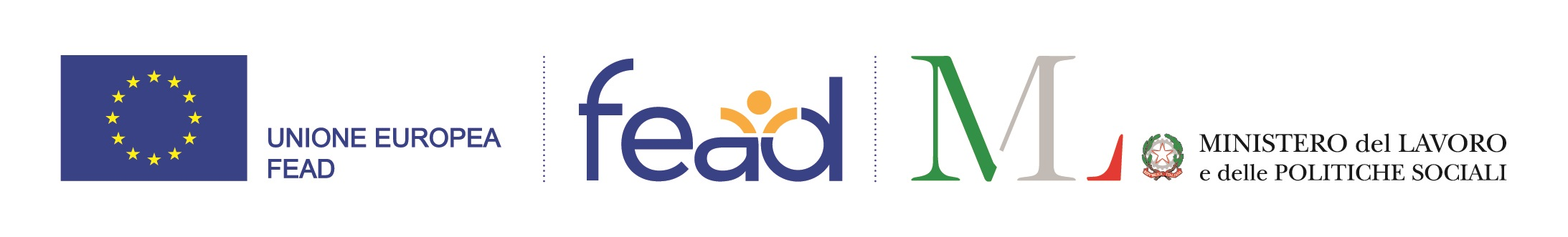 FEAD - LogoPerSitoWeb