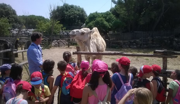 Centro Estivo bambini dromedario